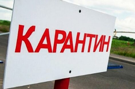 В двух личных подсобных хозяйствах Сальского района введён карантин по бруцеллёзу
