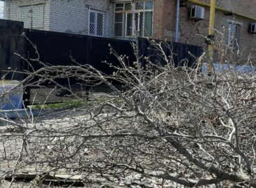 Почему не всякий мусор можно вынести в мусорный контейнер?