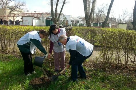 Областной субботник на Дону пройдет в один день со Всероссийским субботником — 22 апреля