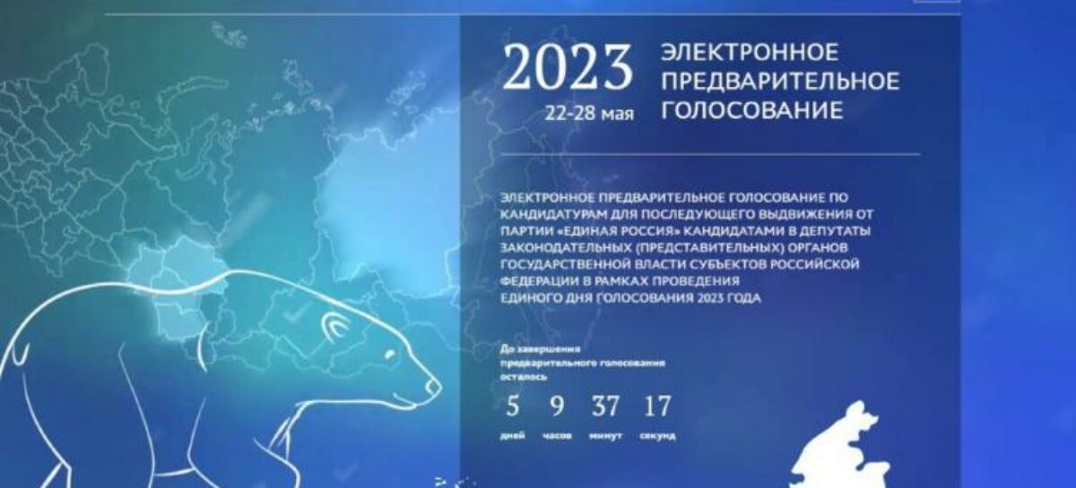 В Ростовской области обнародовали первые данные об активности избирателей на предварительном голосовании