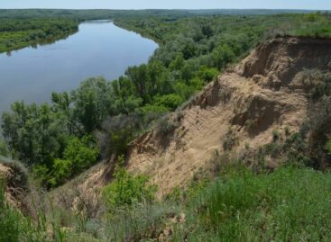 В Ростовской области установлен экологический праздник – День реки Дон
