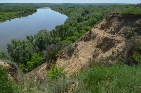 В Ростовской области установлен экологический праздник – День реки Дон