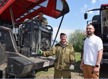 От питомника до поля: экскурсия по лесному и сельскому хозяйствам молодого фермера Александра Сухарева