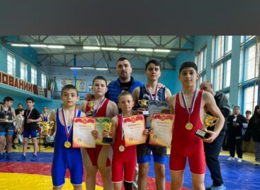 В станице Егорлыкская состоялся открытый областной турнир по греко-римской борьбе памяти тренера Валентины Сафроновой.