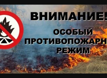 Администрация Сальска просит соблюдать правила особого противопожарного режима