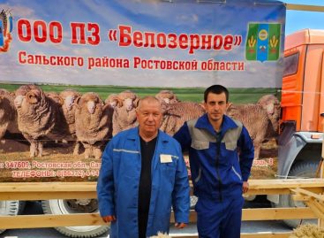 Завоевали «золото» и «серебро»: баранов ООО «Белозерное» оценили на самом высоком уровне
