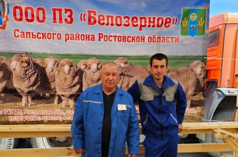 Завоевали «золото» и «серебро»: баранов ООО «Белозерное» оценили на самом высоком уровне