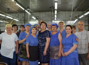 Труженики нелёгкой отрасли: накануне профессионального праздника мы встретились с сальскими текстильщиками