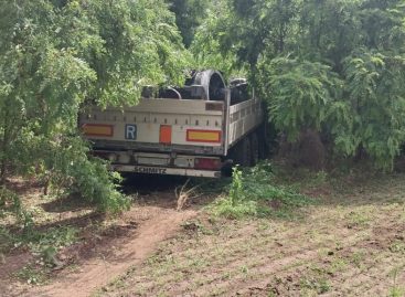 В Сальском районе водитель седельного тягача съехал в кювет после укуса пчелы