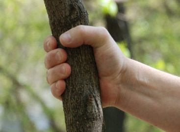 На Ново-Сальске неизвестный избил 23-летнюю девушку