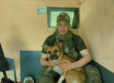 Каждый день как по краю: сальчанин рассказал о своём боевом опыте в зоне спецоперации
