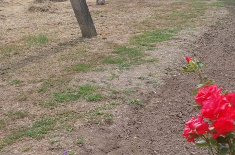 Городские власти отреагировали на обращения жителей, поступившие в адрес редакции