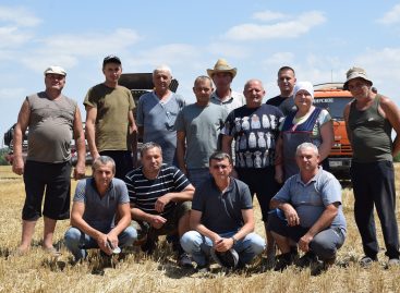 Урожай хлеба — в закромах: ООО «Владимирское» одним из первых в районе завершило уборку зерна нового урожая