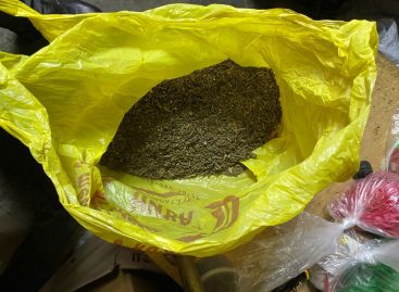 Транспортные полицейские изъяли из незаконного оборота марихуану в крупном размере