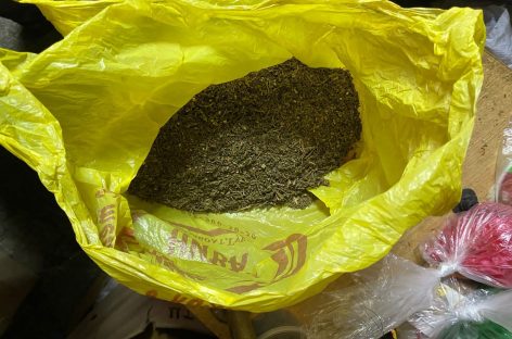 Транспортные полицейские изъяли из незаконного оборота марихуану в крупном размере