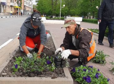 Глава администрации Сальского городского поселения Иван Игнатенко во время отчёта перед горожанами рассказал о том, как расходуются средства, выделенные на благоустройство города