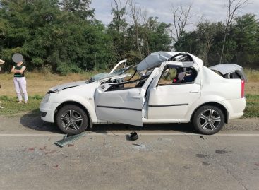 В Сальском районе иномарка врезалась в КамАЗ