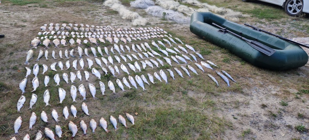 Транспортные полицейские пресекли незаконный вылов биоресурсов