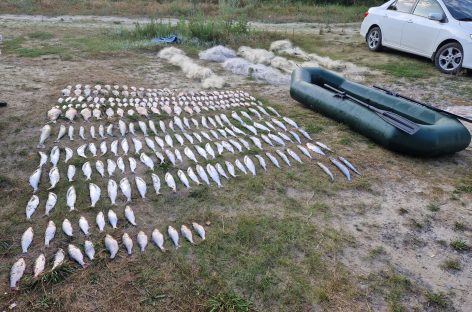 Транспортные полицейские пресекли незаконный вылов биоресурсов