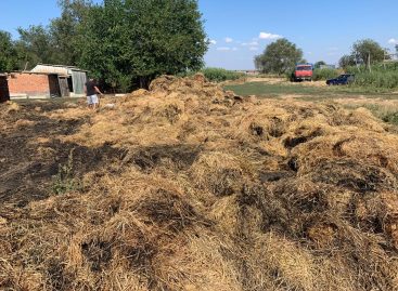 В Сальском районе выясняют по какой причине загорелись тюки соломы