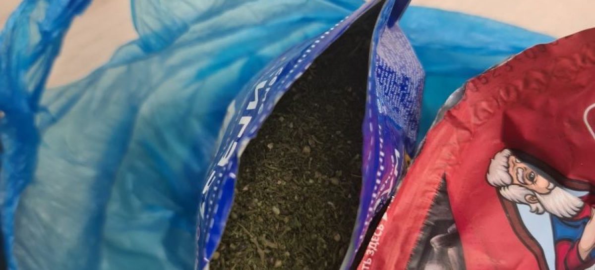 Транспортные полицейские изъяли из незаконного оборота наркотики в крупном размере