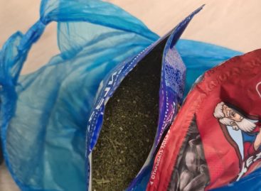 Транспортные полицейские изъяли из незаконного оборота наркотики в крупном размере