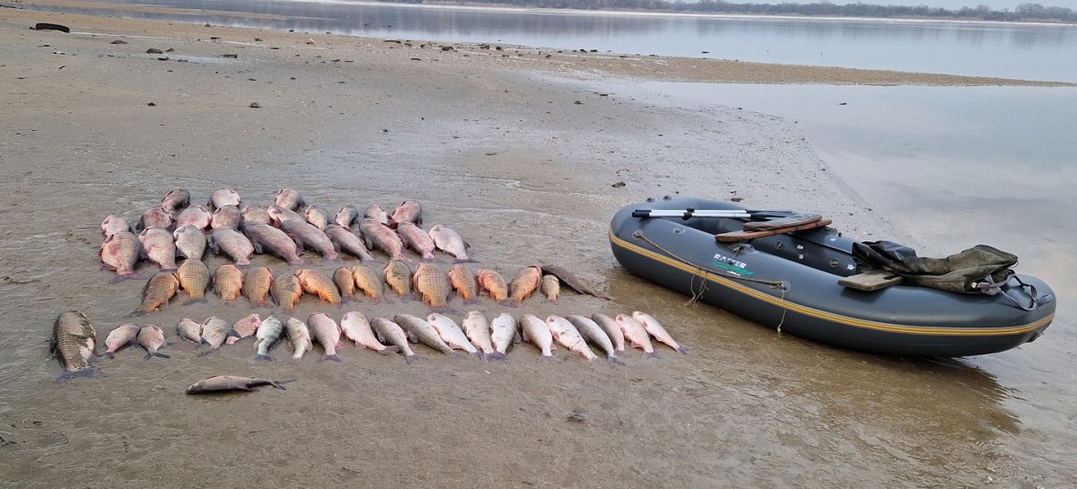 Сальчанина обвинили в незаконной добыче водных биологических ресурсов