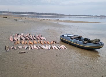 Сальчанина обвинили в незаконной добыче водных биологических ресурсов