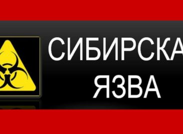 В связи с обнаружением сибирской язвы в Воронежской области жителей Сальского района призывают к бдительности