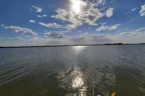 Полицейские Ростовского линейного отдела на водном транспорте проводят проверку по факту инцидента на теплоходе