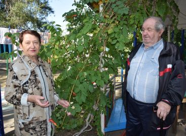 Сальчане ждут оглашения итогов традиционного конкурса «Я люблю этот город».