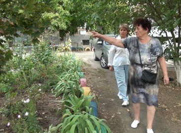 «Я люблю этот город»: стартовал конкурс на самую чистую улицу, благоустроенный двор МКД и лучшее домовладение