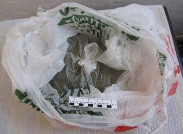В Ростове транспортные полицейские изъяли из незаконного оборота марихуану в крупном размере