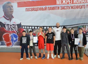 Триумф боксеров: сальские спортсмены собрали на межрегиональных соревнованиях урожай наград