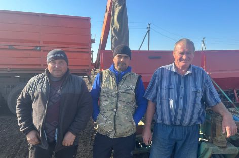 Посевная осень «Дона-1»: в Сальском районе продолжается сев озимых культур