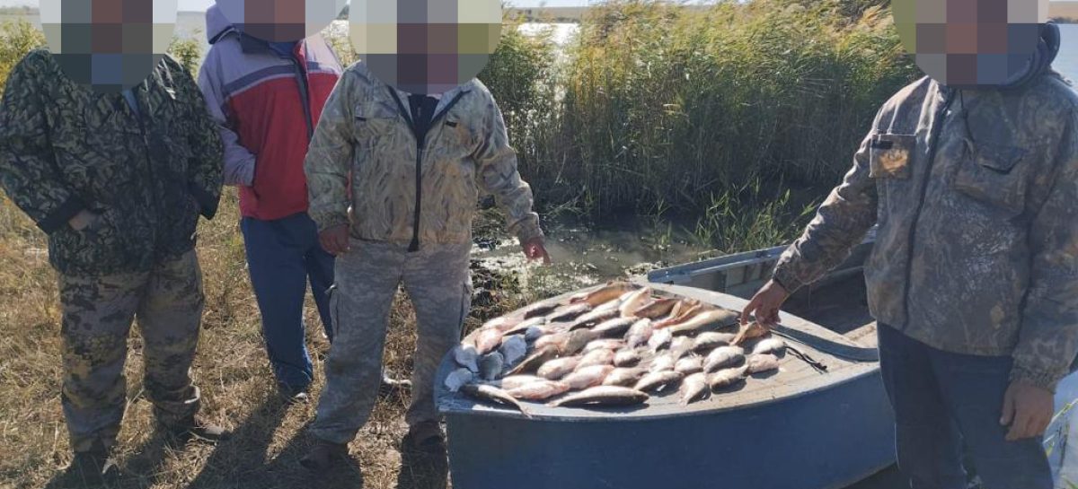 В Сальске сотрудники транспортной полиции пресекли незаконный вылов биоресурсов