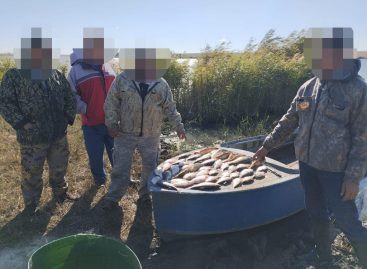 В Сальске сотрудники транспортной полиции пресекли незаконный вылов биоресурсов