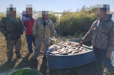 В Сальске сотрудники транспортной полиции пресекли незаконный вылов биоресурсов