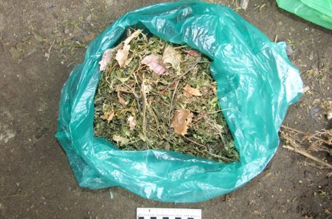 В Ростовской области транспортные полицейские изъяли из  незаконного оборота наркотики
