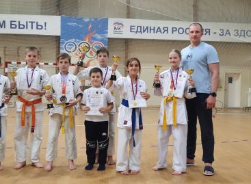 На первенстве Дона: в Ростове-на-Дону прошло первенство Ростовской области по киокусинкай