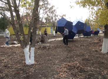 Успеть до первого ноября: чтобы уложиться в срок, в парке проводят субботники