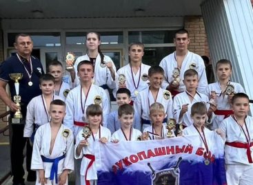 «Бронза» в Элисте: сальские спортсмены привезли награды с очередного турнира