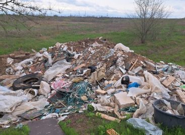 Ростовская область получит из госказны средства на ликвидацию свалок
