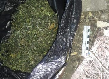 В Сальске сотрудники транспортной полиции изъяли из незаконного оборота наркотики