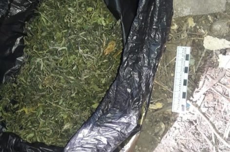 В Сальске сотрудники транспортной полиции изъяли из незаконного оборота наркотики
