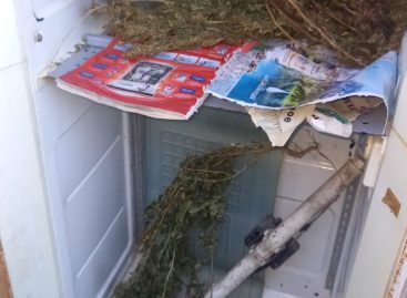 В Ростовской области транспортные полицейские изъяли из незаконного оборота наркотики в крупном размере