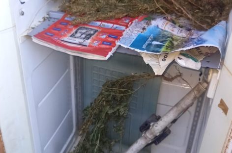В Ростовской области транспортные полицейские изъяли из незаконного оборота наркотики в крупном размере