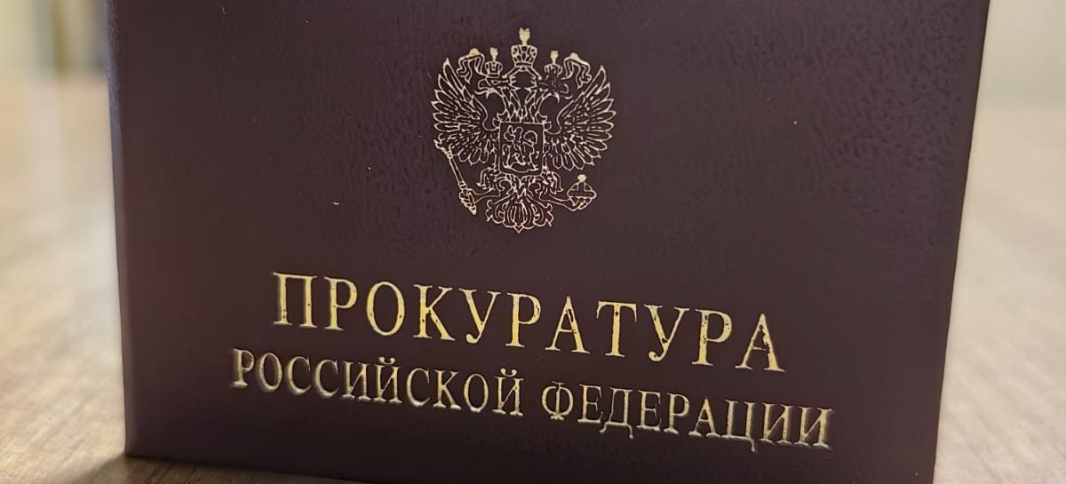 Сальский районный суд вынес обвинительный приговор за незаконную вырубку деревьев