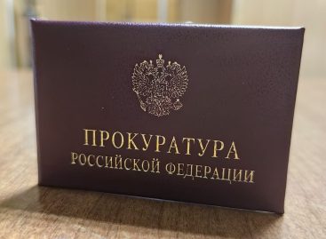 Сальский районный суд вынес обвинительный приговор за незаконную вырубку деревьев