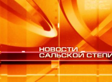 НОВОСТИ САЛЬСКОЙ СТЕПИ от 22.12.23